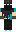 skin of a player