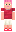 skin of a player