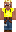 skin of a player