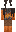 skin of a player