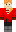 skin of a player