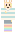 skin of a player