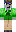 skin of a player