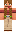 skin of a player