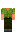 skin of a player