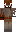 skin of a player