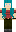 skin of a player