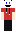 skin of a player