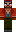 skin of a player