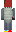 skin of a player