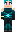 skin of a player