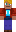 skin of a player