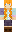 skin of a player