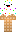 skin of a player