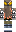 skin of a player