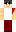 skin of a player