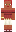 skin of a player