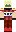 skin of a player