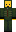 skin of a player