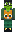 skin of a player