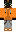 skin of a player