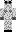 skin of a player