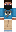 skin of a player