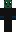 skin of a player