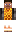 skin of a player