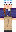 skin of a player