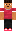 skin of a player