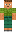 skin of a player