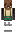 skin of a player