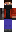 skin of a player
