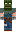 skin of a player