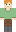 skin of a player