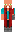 skin of a player