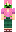 skin of a player