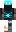 skin of a player