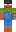 skin of a player