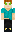 skin of a player