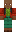 skin of a player