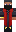 skin of a player