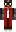 skin of a player