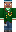 skin of a player