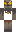 skin of a player