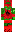 skin of a player