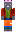 skin of a player