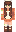 skin of a player