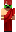 skin of a player